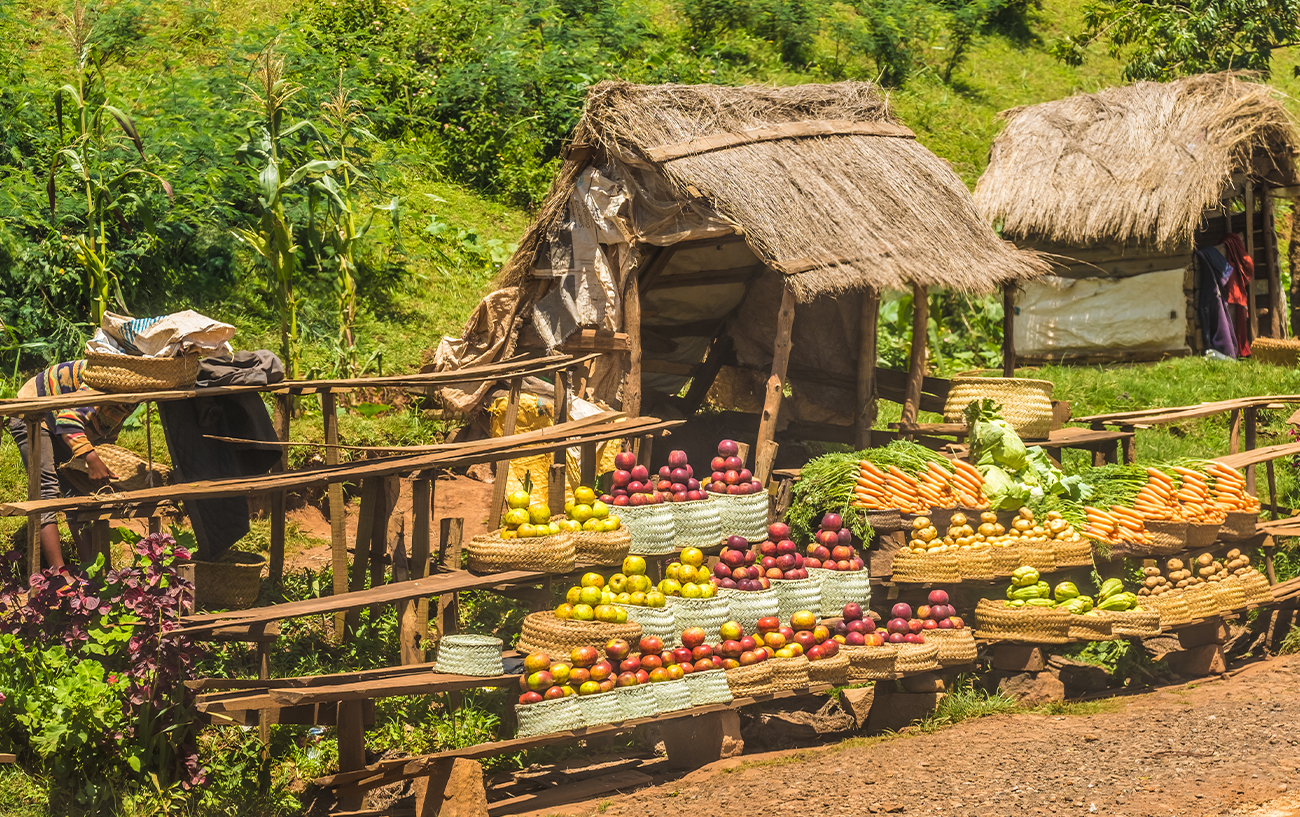 10 cose da sapere Madagascar